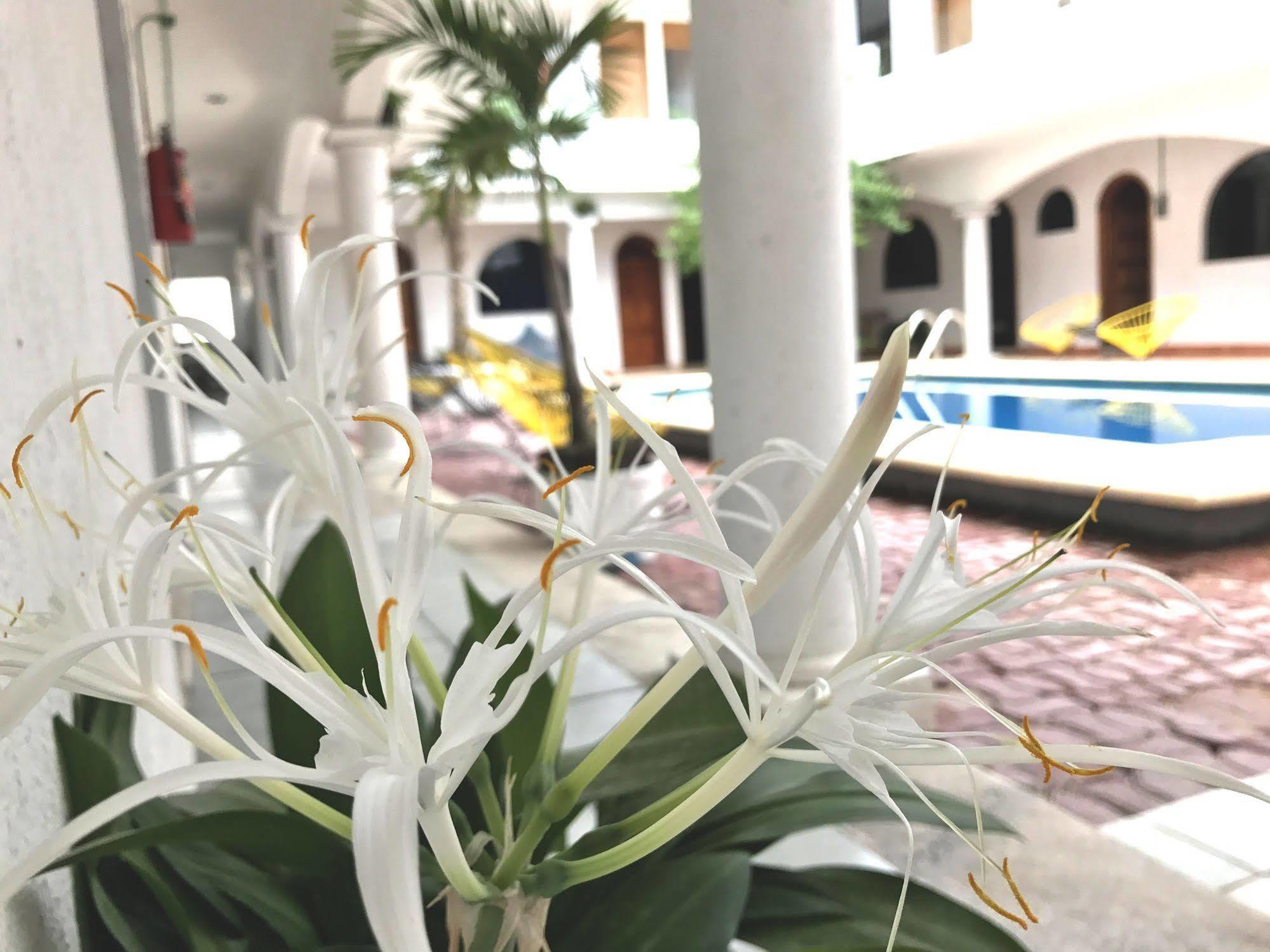 Hotel Villas San Ignacio Playa del Carmen Exteriör bild